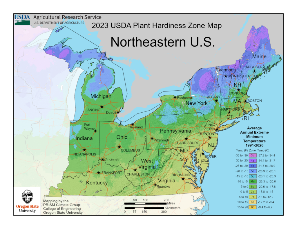 Shows vegetable hardiness, planting and growing zones in Northeastern USA