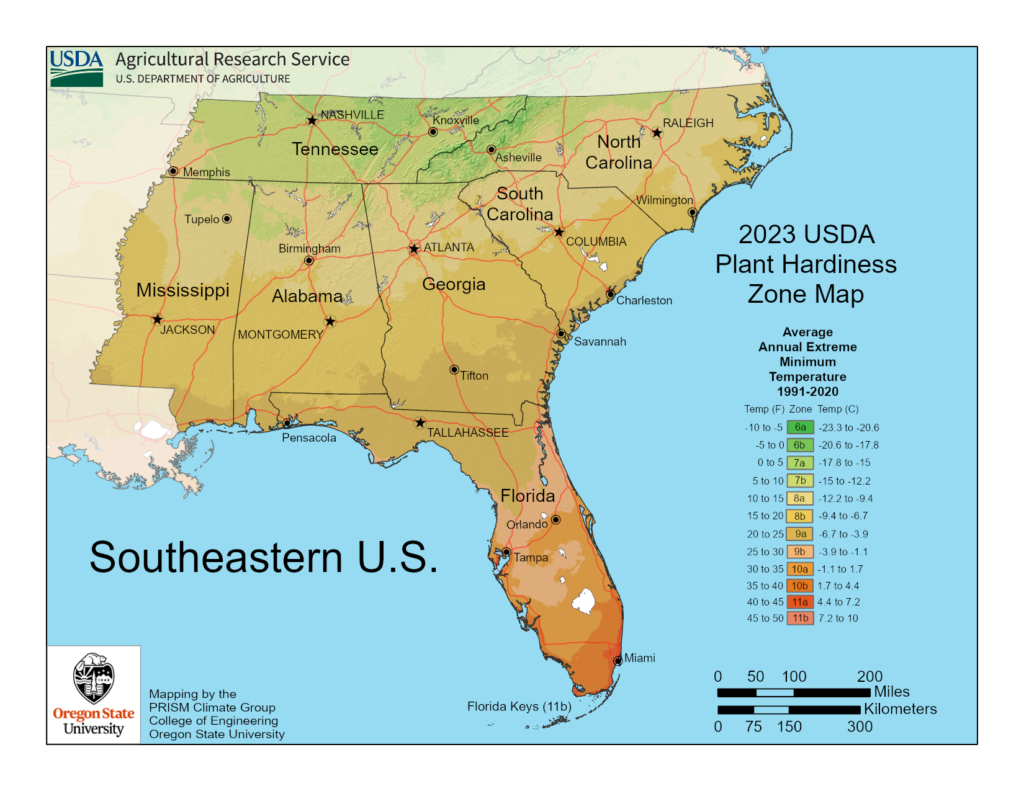 Shows vegetable hardiness, planting and growing zones in Southeastern USA