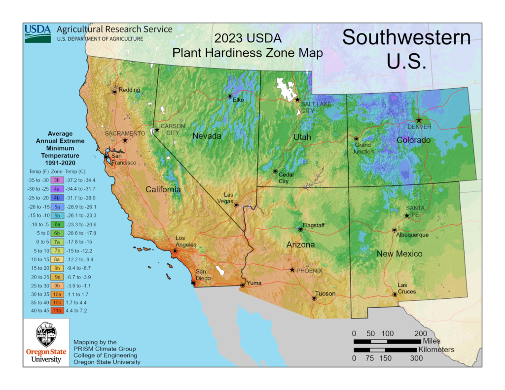 Shows vegetable hardiness, planting and growing zones in Southwestern USA