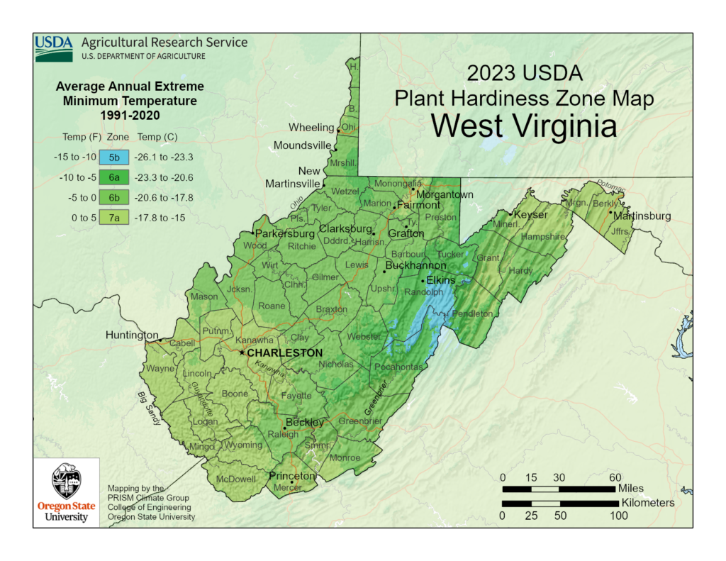 Shows growing and Planting zones in West Virginia.