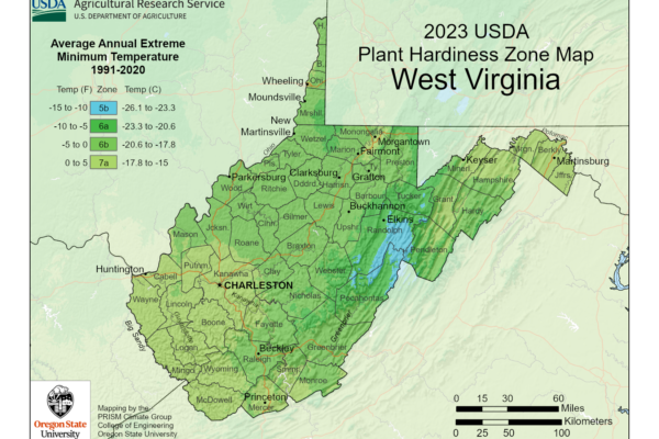 Shows growing and Planting zones in West Virginia.