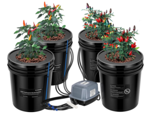 Deep Water Culture (DWC) Parts and Systems