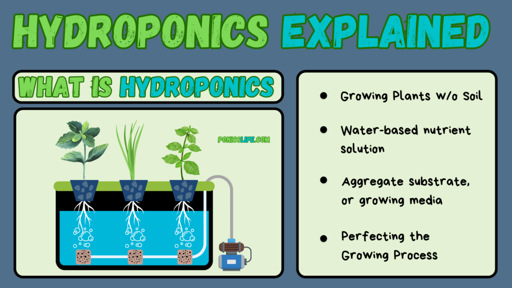 Hydroponics Explained