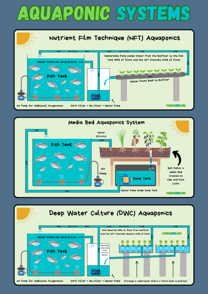 Shows the three basic types of aquaponic systems