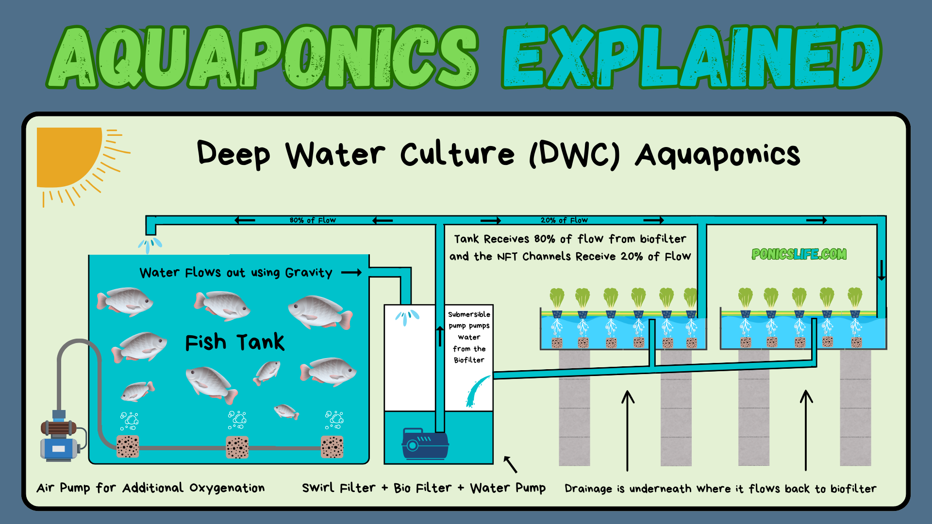 Deep Water Culture explained with diagram