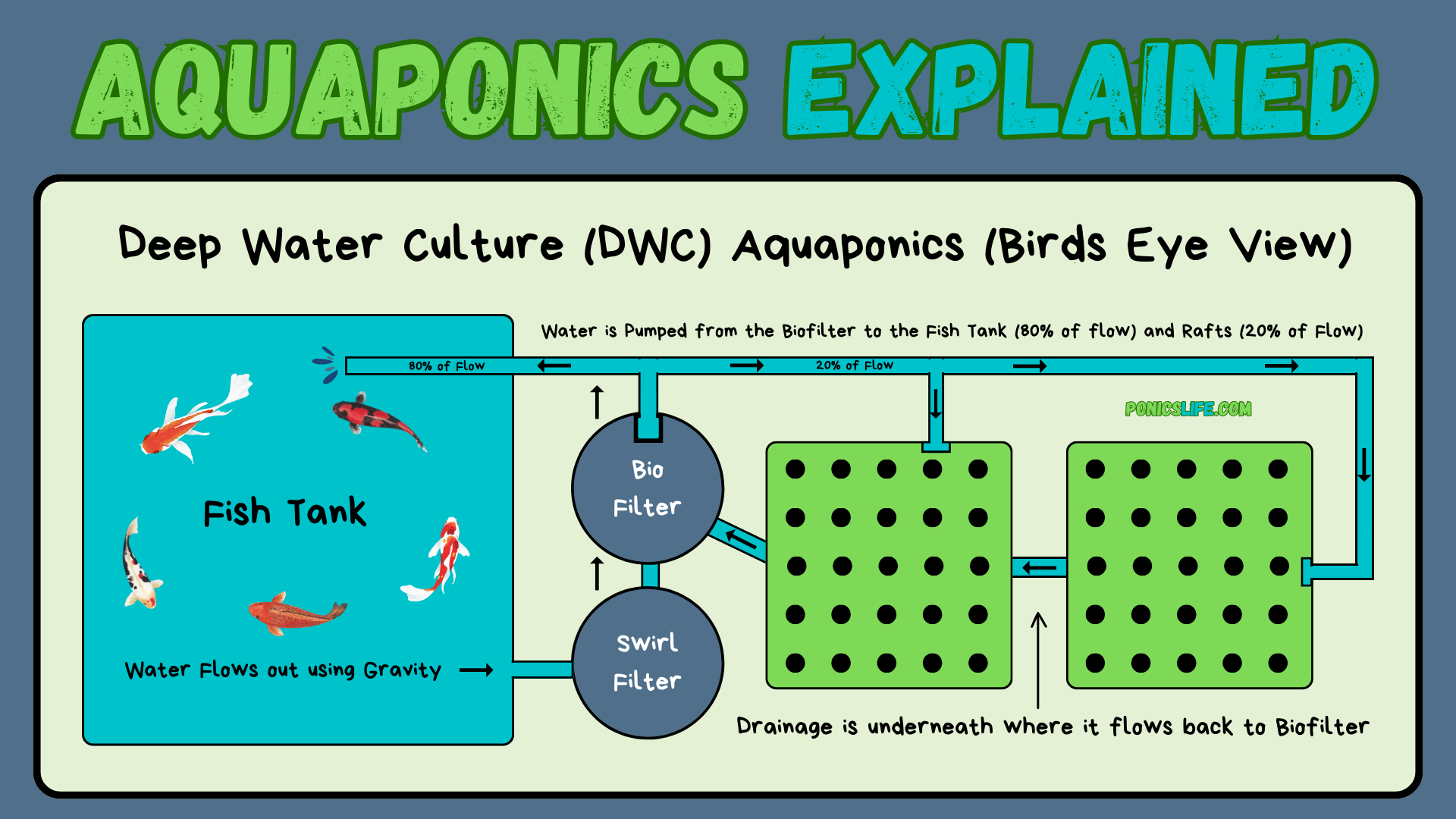 Deep Water Culture (DWC) Aquaponics explained using top-down view