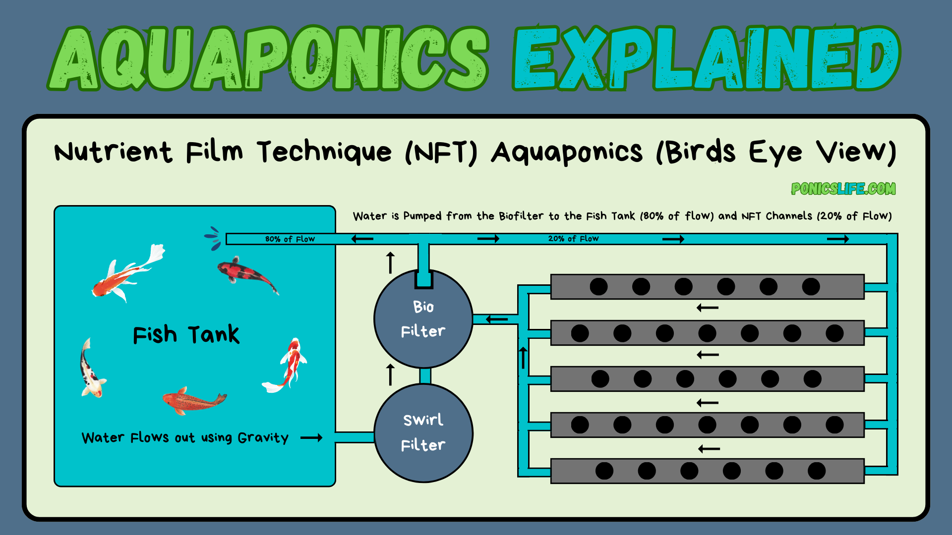 NFT Aquaponics explained using a top-down diagram