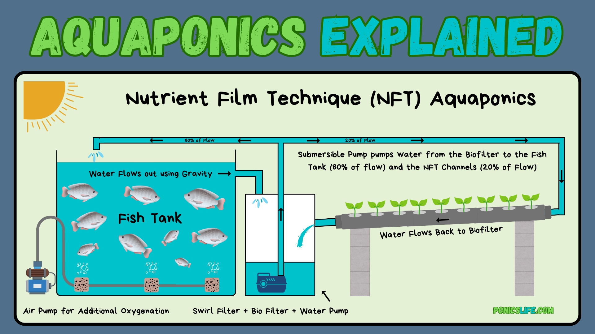 Aquaponics Nutrient Film Technique explained using side view diagram