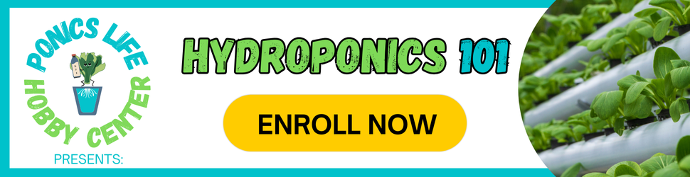 Hydroponics Course