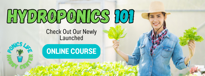 Online Course for Hydroponics