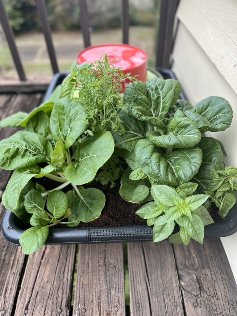 🌿 Candlestick Hydroponic Wicking Kit – Effortless, Fun Gardening! 🌿