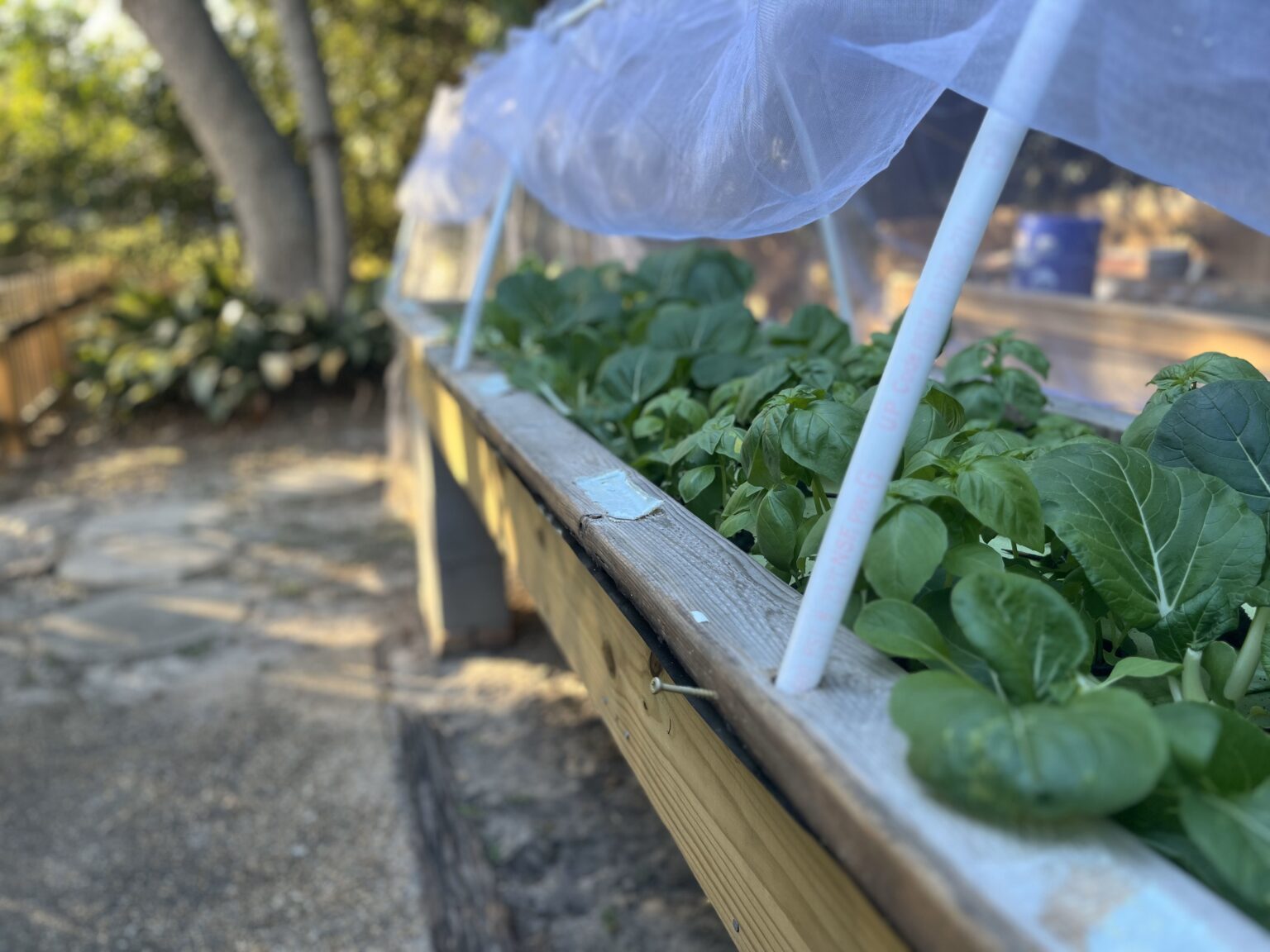 Garden Raft How to Build a Big Floating Raft Hydroponics System: Lessons Learned