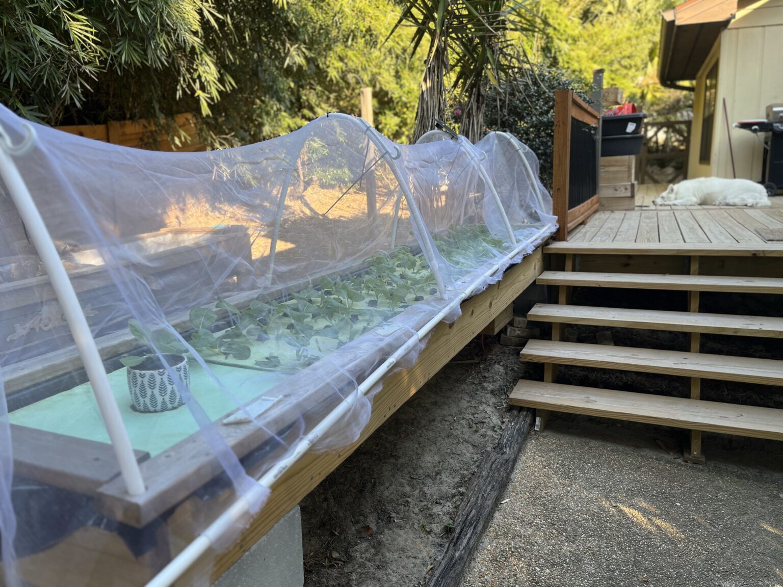 Garden Raft How to Build a Big Floating Raft Hydroponics System: Lessons Learned