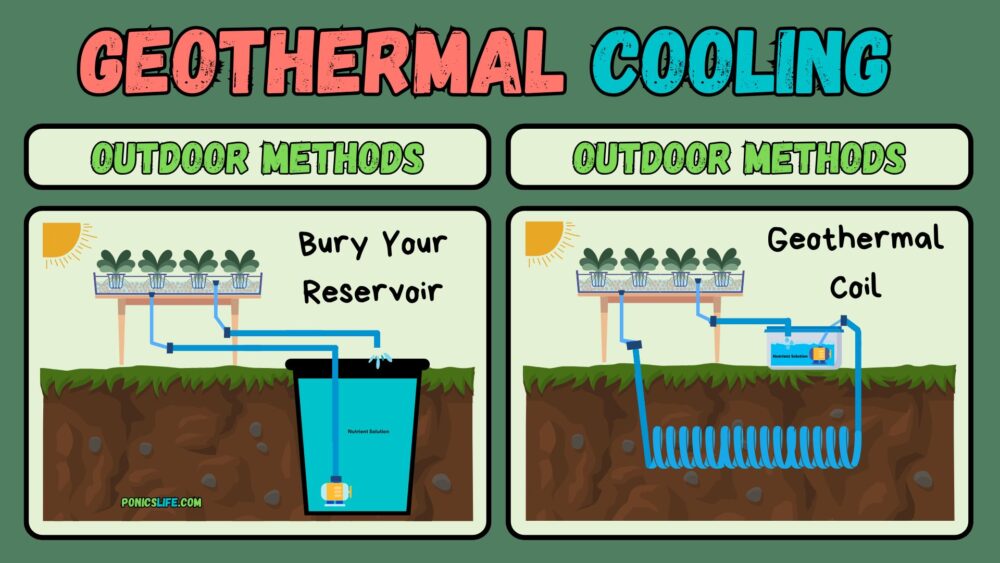 Water Temperature and Hydroponics: How to Regulate Your Reservoir ...