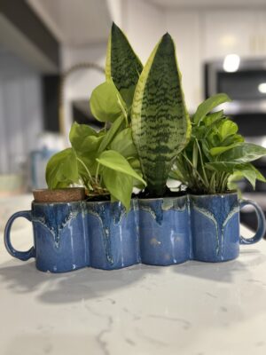 sub irrigation ceramic planter