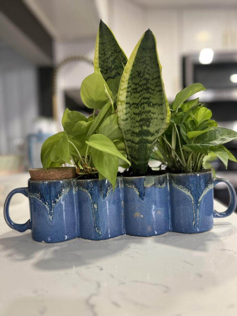 sub irrigation ceramic planter